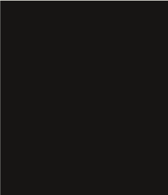 Pigment Eisenoxidschwarz