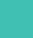 Pigment Spinellmint