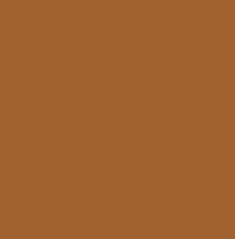 Pigment Terra di Siena natur