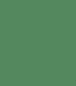 Pigment Umbra grünlich, dunkel