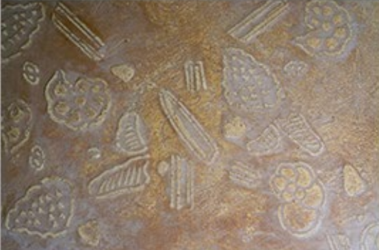 Schablone Mikrofossilien 1 Größe A 3