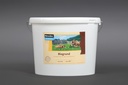 Hessler HP 9500 Naturkalk-Grundierung
