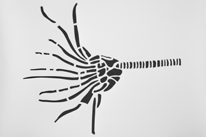 "Sea lily 1" template, size A 4