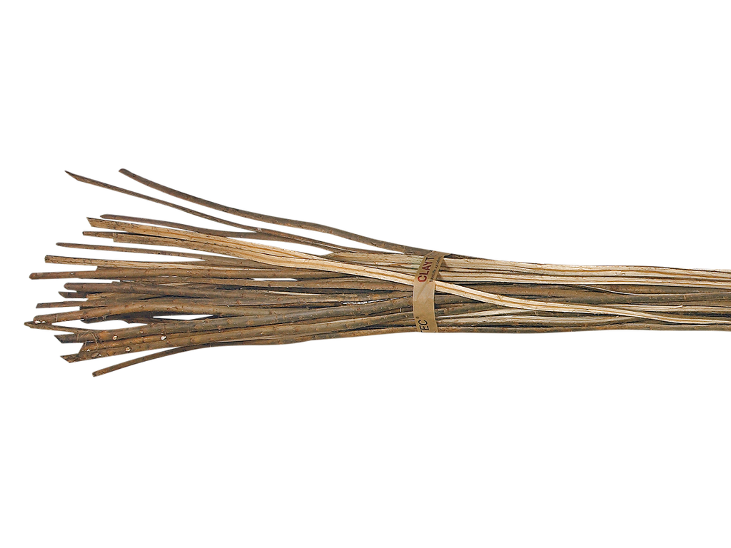 Willow branches	
