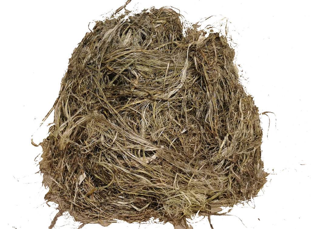 Stuffing hemp in bales