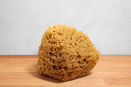 Kreidezeit Grass sponge, 12-14 cm Piece