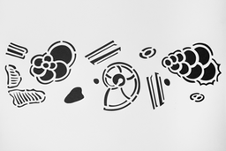 Kreidezeit "Microfossils 1" template, size A 4 Piece