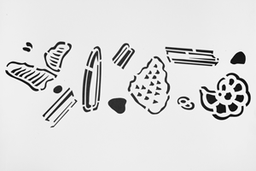 Kreidezeit Schablone Mikrofossilien 2 Größe A 4 Stück