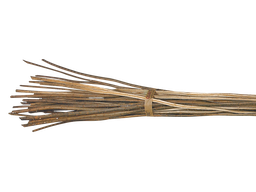 Claytec Willow branches	 40 sticks