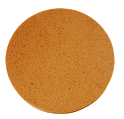 Eibenstocker Elektrowerkzeuge Sponge disc (Velcro) Piece
